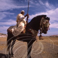 CHEVAL BARBE - Cavalier de FANTASIA (Maroc)