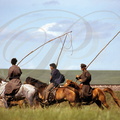 CHEVAL MONGOL - Cavaliers avec leur perche à lasso - steppe à l'ouest du Grand Khingan (Chine : Mongolie intérieure)