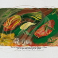Fleur de COURGETTE farcie, purée d'AIL et filet de ROUGET grillé  (L'Auberge du Moulin à Castelsarrasin - 82)
