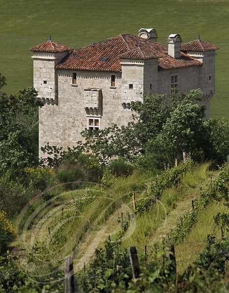 HERREBOUC (France - Gers) -  le château et le vignoble (SAINT-JEAN-POUTGE : Sud de Condom)