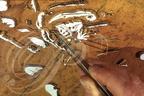 BUREAU en marqueterie motifs grenouilles : pièces de marqueterie découpées