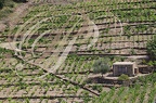 COLLIOURE - vignobles en terrasse - abri de vigneron en pierres de schiste