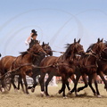 APAJ  (Hongrie) - fêtes de la puszta : attelage à cinq chevaux
