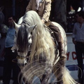Cheval ANDALOU - Feria de Jerez : jeune cavalier