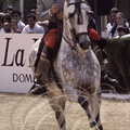 Cheval ANDALOU - Doma Vaquera 