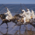 CHEVAL BARBE - Cavaliers de FANTASIA (plage de  El Jadida) Maroc - galop   