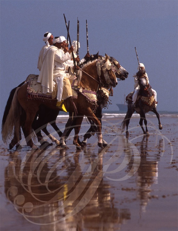 CHEVAL BARBE - Cavaliers de FANTASIA (plage de  El Jadida) Maroc