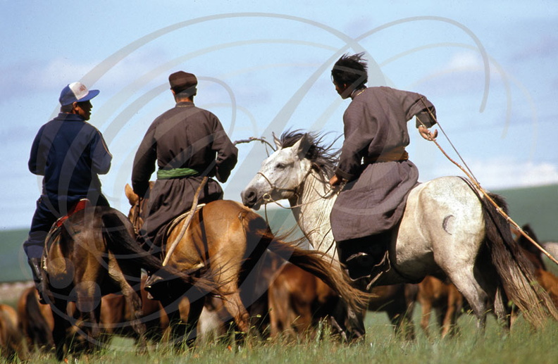 CHEVAL MONGOL - cavaliers (Chine : Mongolie intérieure)