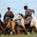 CHEVAL MONGOL - cavaliers (Chine : Mongolie intérieure)