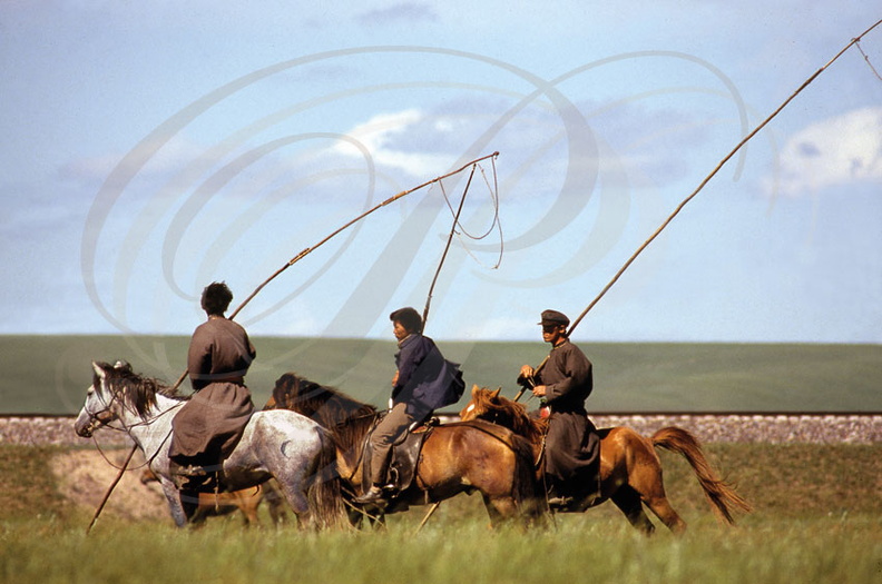 Mongolie intérieure_3cavaliers_avec_perches.jpg