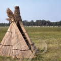 BUGAC - parc national -  reconstitution d'un camp de bergers (hutte)