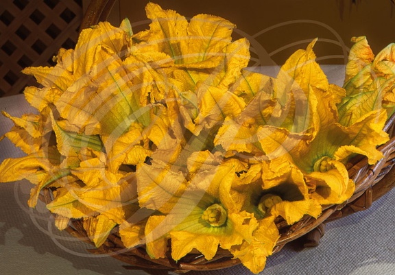 COURGETTES  (Cucurbita pepo) - fleurs dans un panier