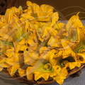 COURGETTES  (Cucurbita pepo) - fleurs dans un panier