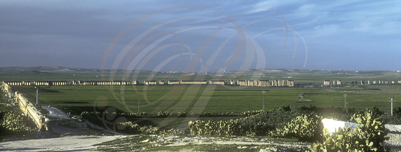 AQUEDUC romain (vue générale) - Roman aqueduct - Acueducto romano