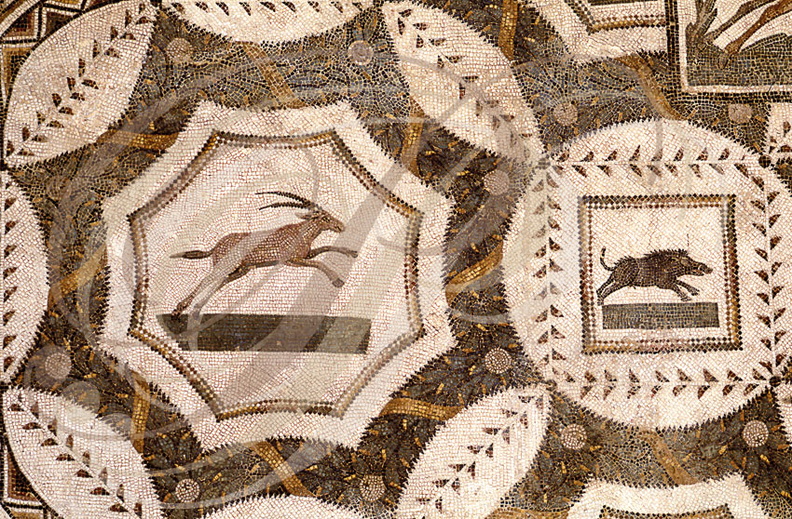 TUNIS - Musée du Bardo : mosaïque de  Diane Chasseresse (Oryx et sanglier)