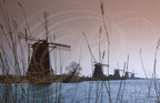 KINDERDIJK - les moulins à vent (à l'ouest de Dordrecht)