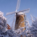 OUDDORP - moulin à vent sous la neige