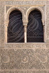 GRENADE - Alhambra :  le Mexuar (décor Nasride)