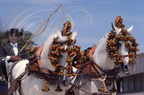 JEREZ de la FRONTERA - la Feria - attelage de chevaux andalous