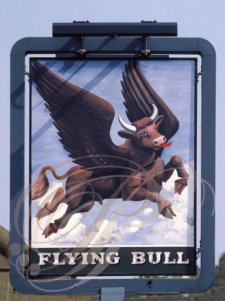 PETERSFIELD_GB_ENSEIGNE_Flying_Bull.jpg