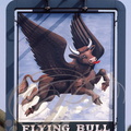 PETERSFIELD (GB) -Enseigne : Flying Bull