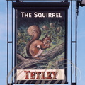 CHESTER (GB) -  Enseigne : The Squirrel (l'écureuil)