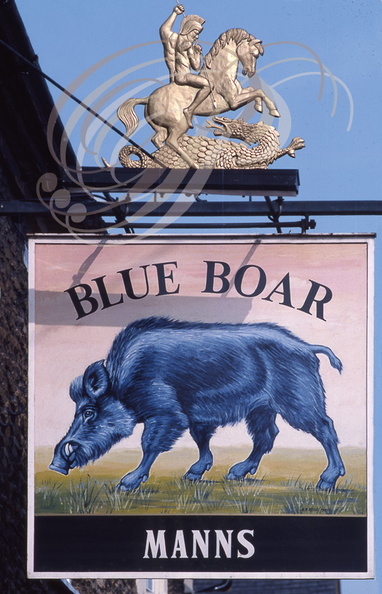 PETERBOROUGH (GB) - Enseigne : Blue Boar (sanglier bleu)