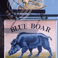PETERBOROUGH (GB) - Enseigne : Blue Boar (sanglier bleu)