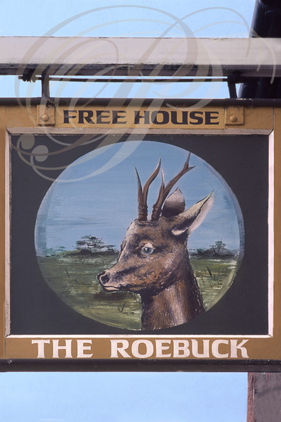 UTTOXETER (GB) - Enseigne : The Roebuck (le chevreuil)