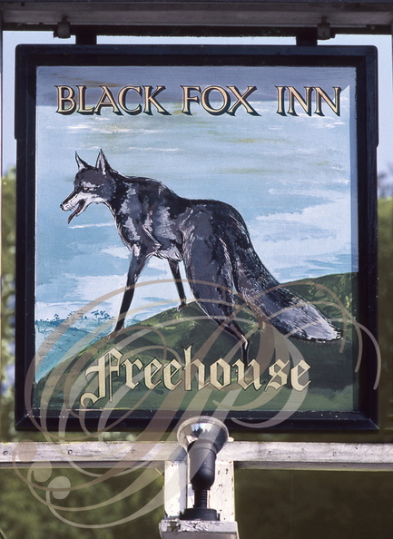 CHESTER (GB) - Enseigne : Black Fox (Renard noir)