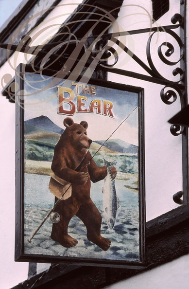 ENSEIGNE : "THE BEAR" (L'Ours)