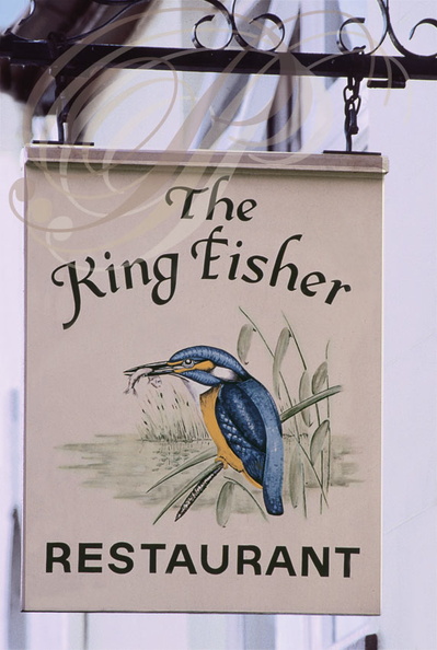 ENSEIGNE : "THE KING FISHER"  (Le Martin Pêcheur)