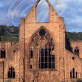 TINTERN_Abbaye_cistercienne_du_XIIe_siecle_Pays_de_Galles.jpg