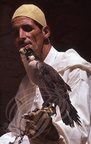 FAUCONNERIE (Maroc) - Fauconnier de la région des Doukkala et son faucon de Barbarie (Falco pelegrinoides)