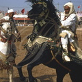 FANTASIA (Maroc) - cheval barbe 