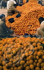 GOULIMINE - Souk aux oranges