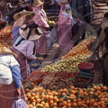 OUED LAOU - Marché aux fruits et légumes