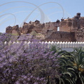 MEKNÈS - PALAIS ROYAL - les anciens remparts (XVIIe siècle) vus des jardins du palais