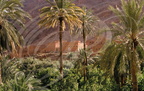 Vallée du TODRA - kasbah dans une palmeraie