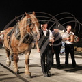 Spectacle "AU FIL de L'EAU" - tableau   5 - la foire du 15 août :  tableau 16 - la foire du 15 août : le cheval de trait (2011) PP68