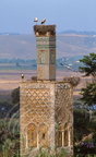 RABAT - CHELLAH - minaret de la mosquée mérinide