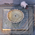 FÈS - Mosquée KARAOUINE (ou Mosquée Karaouyine ou Mosquée Karaouiyine) - bassin