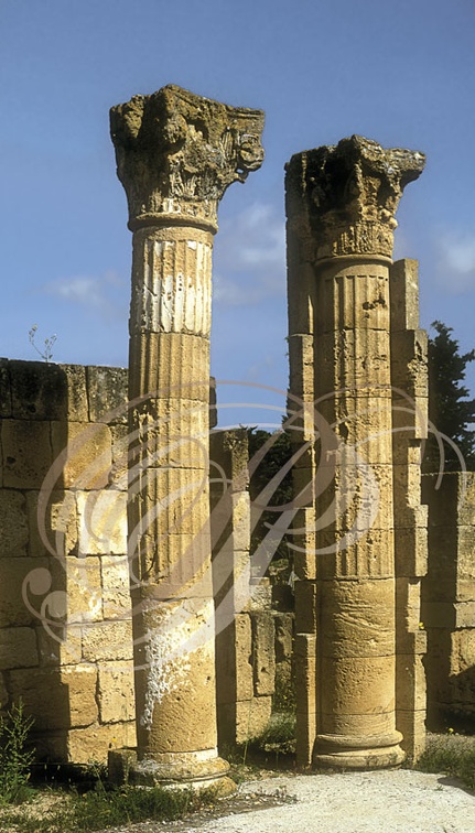 UTIQUE - ruines puniques (colonnes avec châpiteaux historiés)
