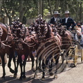 JEREZ de la FRONTERA - la Feria : attelage à cinq chevaux
