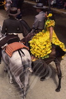 JEREZ de la FRONTERA - la Feria : femme en croupe en robe jaune