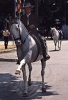 JEREZ de la FRONTERA - la Feria : cheval andalou au pas espagnol