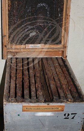 GRAMONT (France - 82) Musée du miel : ruche de France (Ruche LANGSTROTH)