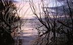 CAMARGUE - étang du FANGASSIER au coucher du soleil
