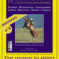 AFFICHE : Magazine Plaisirs (spécial Tunisie)