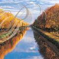 SAINT-PORQUIER (82) - le canal du Midi à l'automne